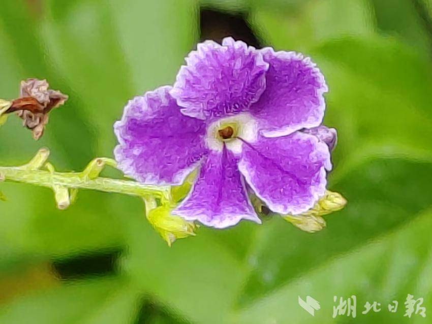 在哪看威廉希尔盘囗